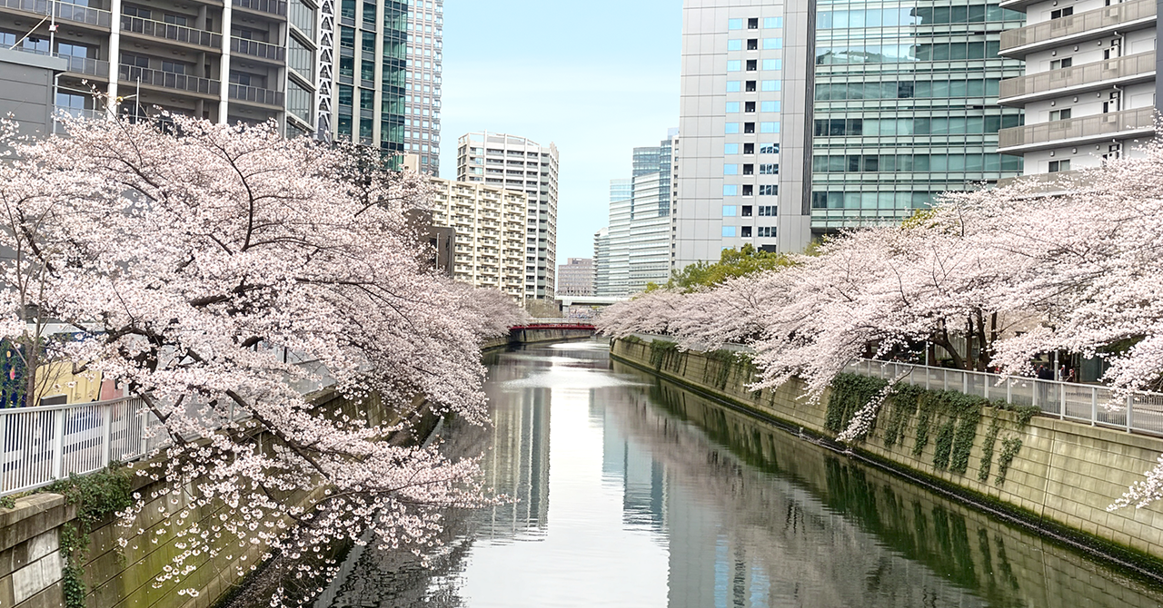 入社おめでとう！ようこそロイネへ：新入社員の素顔に迫る